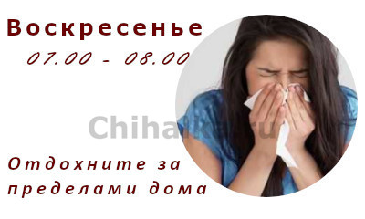 Чихнуть в четверг